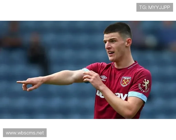 赖斯是否依赖球队结构 战术体系适配度深度分析